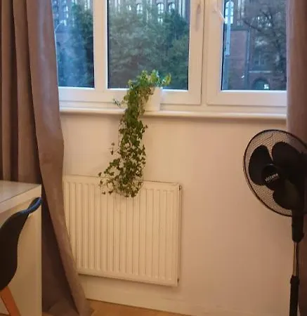 Turkusowy *